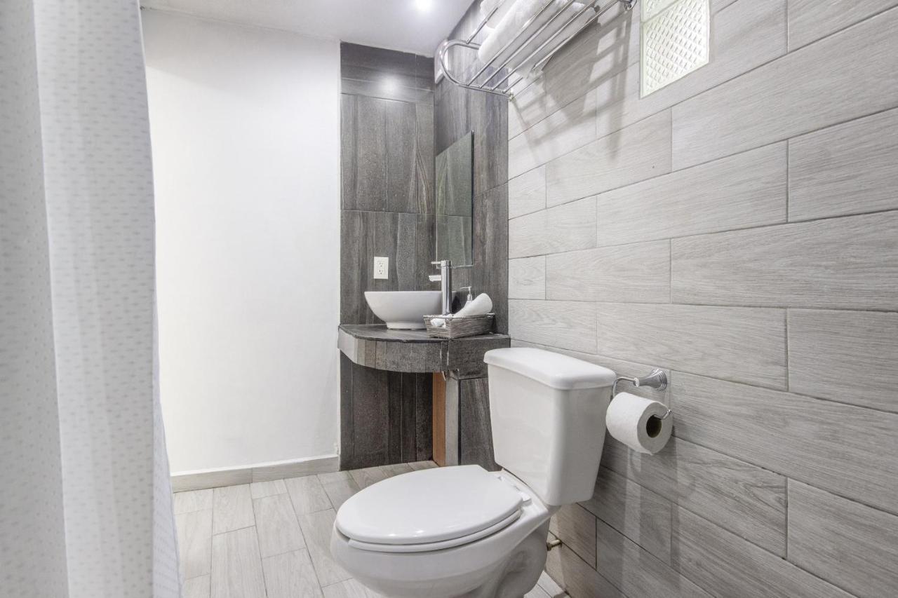 Hotel La Coleccion, Universidad De Guanajuato, Centro Εξωτερικό φωτογραφία